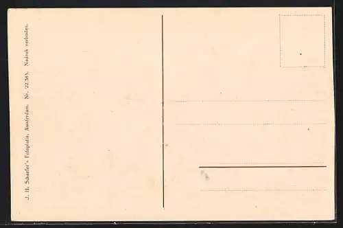 AK s`Gravenhage, Gevels a. d. Vijver