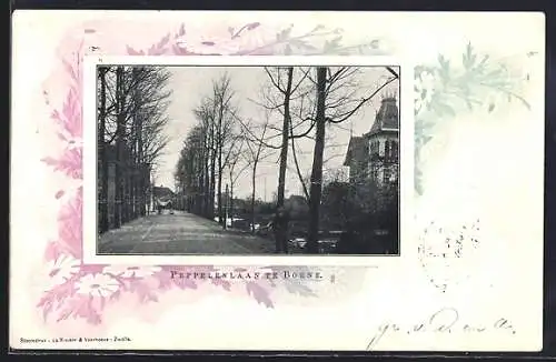 AK Borne, Peppelenlaan