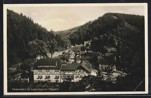 AK Falkenstein im Loquitzgrund, Ortsansicht im Sonnenschein