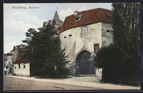 AK Naumburg / Saale, Teilansicht mit Marientor