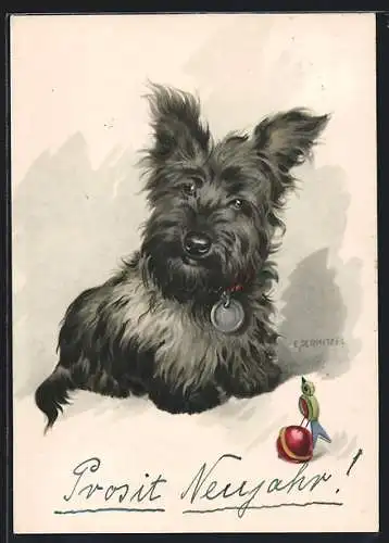 Künstler-AK Kleiner Scotchterrier mit Hundemarke