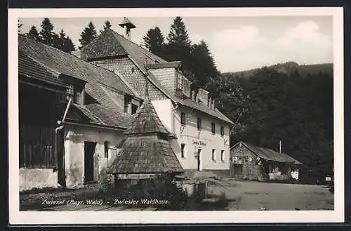 AK Zwiesel / bayr. Wald, Waldhaus