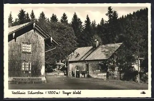 AK Drachselsried, Ansicht vom Forsthaus Schareben