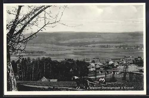 AK Oberlangenstadt b. Kronach, Teilansicht