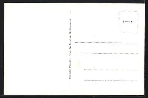 AK Oberlangenstadt b. Kronach, Teilansicht