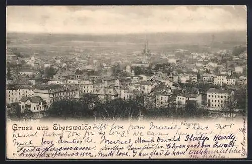 AK Eberswalde, Panorama