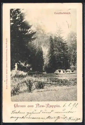 AK Neu-Ruppin, Goldfischteich