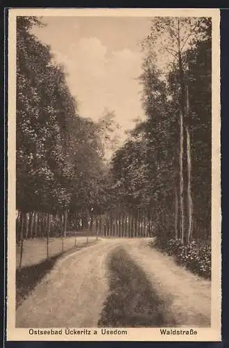 AK Ückeritz a. Usedom, Ostseebad, Waldstrasse