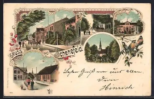 Lithographie Schenefeld / Mittelholstein, Strassenpartie mit Wohnhäusern, Kirche