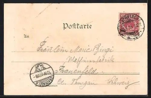 Lithographie Ringelbach / Oberkirch, Gasthaus zum Salmen v. A. Ebert, Panorama
