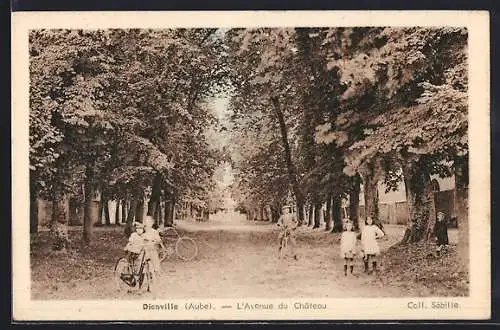 AK Dienville, L`Avenue du Château