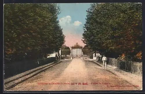 AK Brienne-le-Château, L`allée du Château vue depuis l`entrée principale
