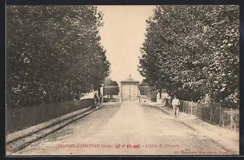 AK Brienne-le-Château, L`Allée du Château