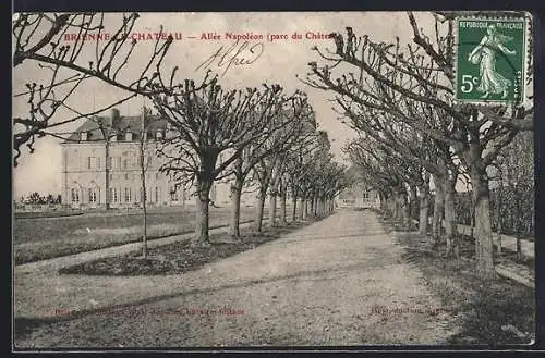 AK Brienne-le-Château, Allée Napoléon dans le parc du château