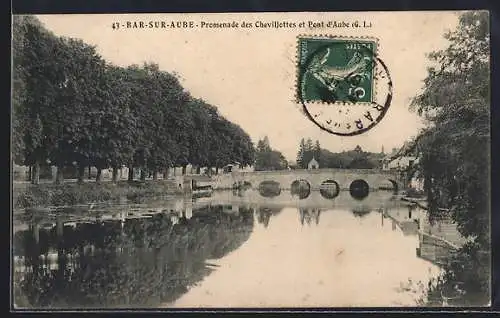 AK Bar-sur-Aube, Promenade des Chevillottes et Pont d`Aube