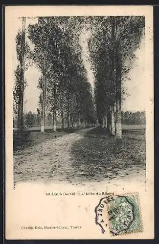 AK Rhèges, L`Allée du Bézard