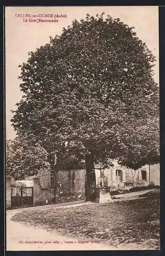 AK Celles-sur-Ource, Le Gros Marronnier