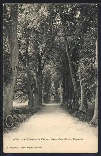 AK Droop-Saint-Basile, L`Avenue bordée d`arbres et vélo appuyé contre un tronc
