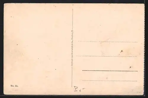 AK Danzig, Blick auf die St. Marienkirche