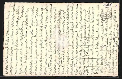 AK Danzig, Blick auf die St. Marien Kirche