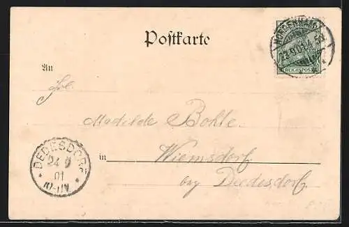 AK Nordenham, Blick auf die Deich Promenade