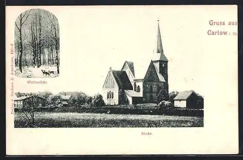 AK Carlow i. M., Kirche und Waldansicht mit Rehen