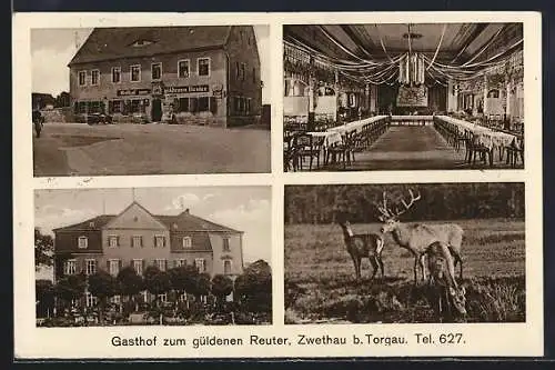 AK Zwethau, Gasthof zum güldenen Reuter, Saal, Hirsch mit Rehen auf der Wiese