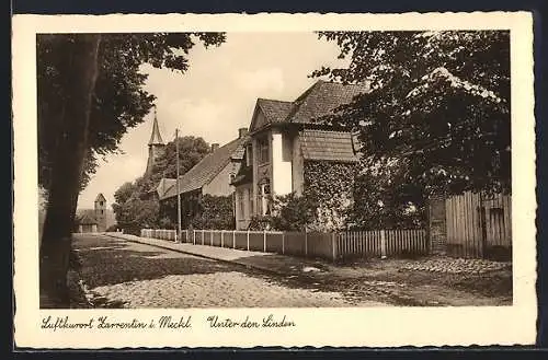 AK Zarrentin, Unter den Linden