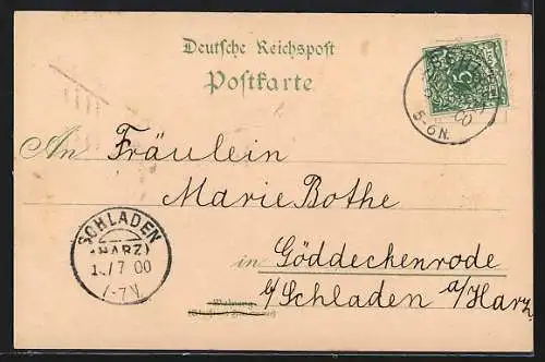 Lithographie Sehlde /Innerste, Strassenpartie, Kirche, Innerstebrücke