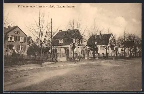 AK Berlin-Hessenwinkel, Villenkolonie in der Lindenstrasse