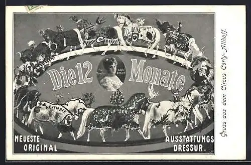AK Circus Corty-Althoff, Frau Director Adele Althoff, Pferdedressur