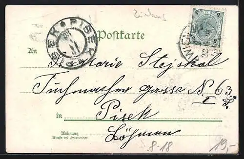 Lithographie Barnum and Bailey Limited-Zirkus, Elefanten zum greifen nah