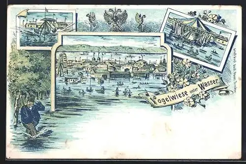 Lithographie Dresden, Die Dresdener Vogelwiese unter Waser