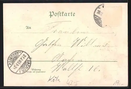 Künstler-AK Köln a. Rh., Der kleine Rath auf dem Carneval