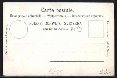 Lithographie Villars-Bozon, Pension, Maison de A. Weber-Steffen, Auberges, College, Vue Générale