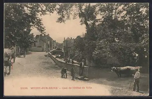 AK Mussy-sur-Seine, Quai de l`Hôtel de Ville avec scène rurale et animaux