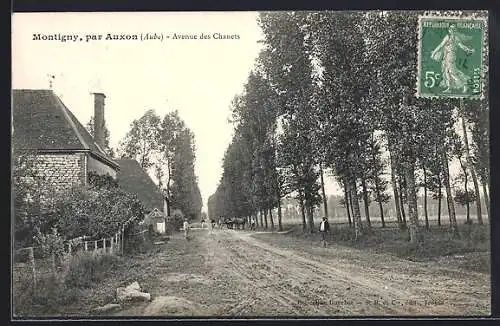 AK Montigny, Avenue des Chanets avec vue d`une route bordée d`arbres et de maisons
