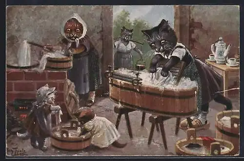 Künstler-AK A. Thiele: Katzen in der Waschküche