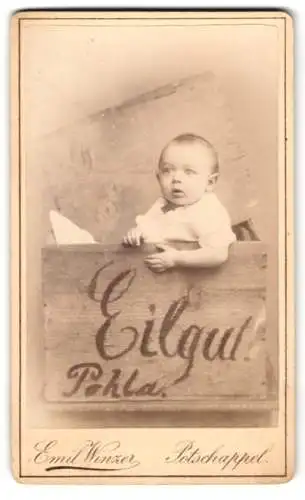 Fotografie Emil Winzer, Potschappel, kleins Kind wird als Eilgut nach Pohla verschickt, Schnapschuss