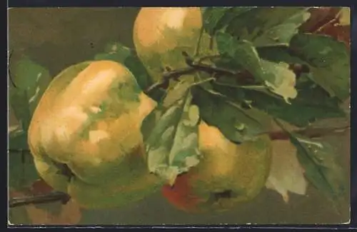 Künstler-AK Grüne Äpfel am Baum