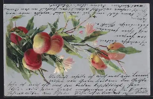 Künstler-AK Pfirsiche am Baum mit Blüten