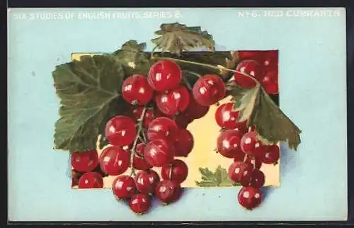 Künstler-AK Red Currants, Johannisbeeren
