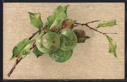 Künstler-AK Zweig mit grünen Äpfeln
