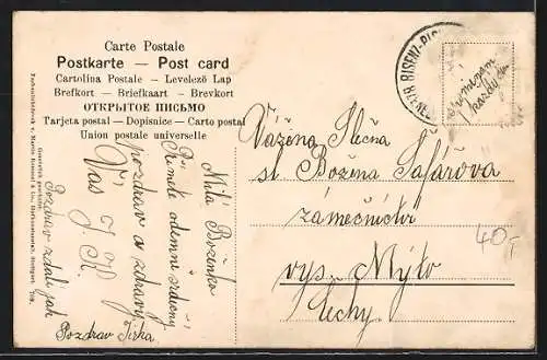 AK Grüne Birnen am Zweig