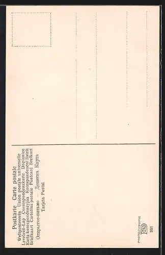 AK Orangen und Blüten an einem Zweig