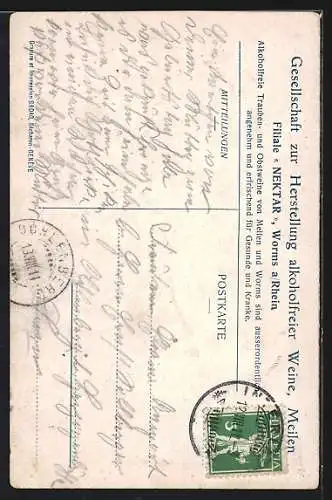 AK Zwei Birnen am Ende eines Zweiges