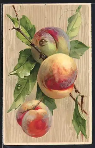 Künstler-AK Drei reife Pfirische hängen an einem Zweig