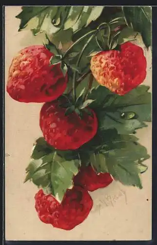 Künstler-AK Erdbeeren an einem Zweig mit Raureif