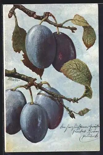 Künstler-AK Pflaumen und Blätter an einem Baum