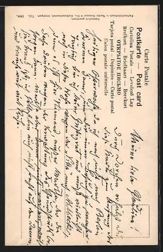 AK Rote Erdbeeren an einer Pflanze